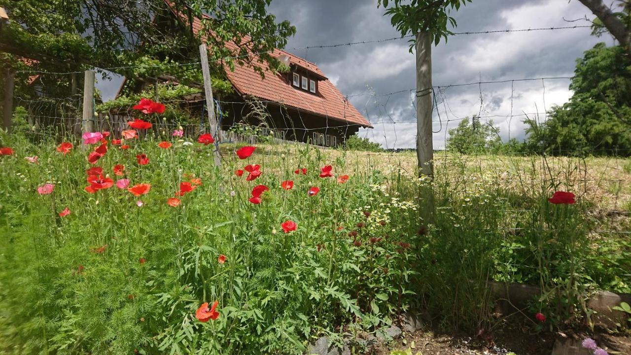 Gaestehaus Der Gamser Winzerstube Bad Gams Zewnętrze zdjęcie